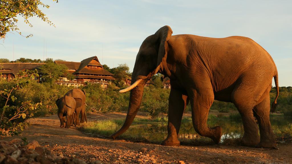Victoria Falls Safari Suites Екстериор снимка
